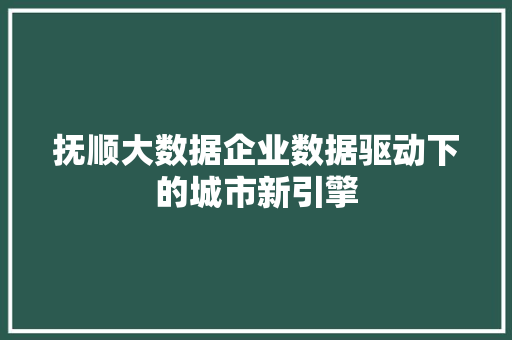 抚顺大数据企业数据驱动下的城市新引擎