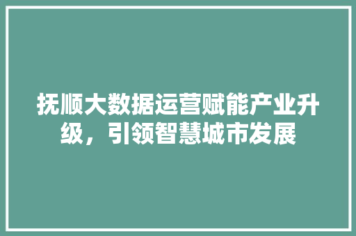 抚顺大数据运营赋能产业升级，引领智慧城市发展