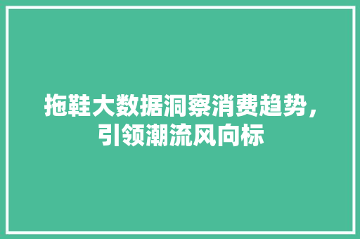 拖鞋大数据洞察消费趋势，引领潮流风向标