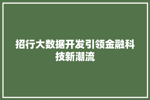 招行大数据开发引领金融科技新潮流