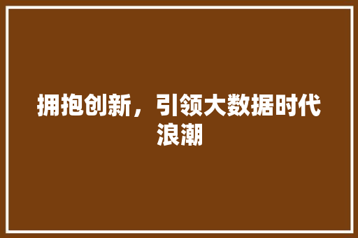 拥抱创新，引领大数据时代浪潮