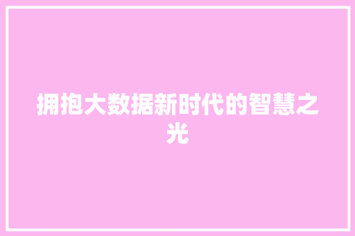 拥抱大数据新时代的智慧之光