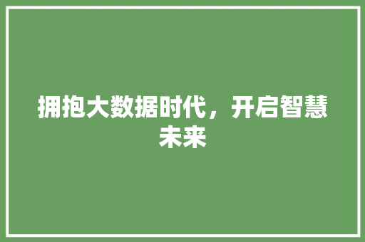 拥抱大数据时代，开启智慧未来