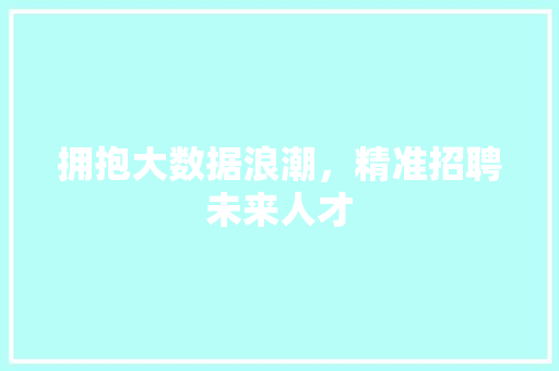 拥抱大数据浪潮，精准招聘未来人才