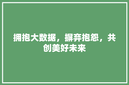 拥抱大数据，摒弃抱怨，共创美好未来