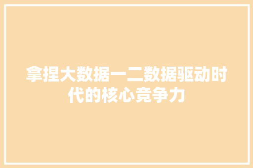 拿捏大数据一二数据驱动时代的核心竞争力
