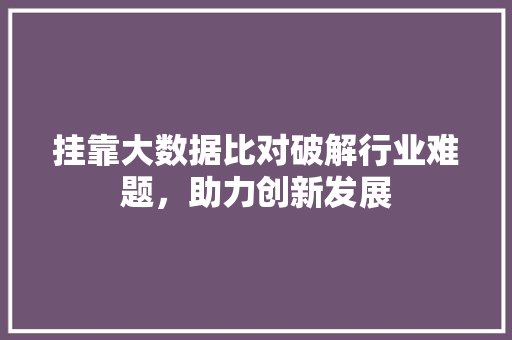 挂靠大数据比对破解行业难题，助力创新发展