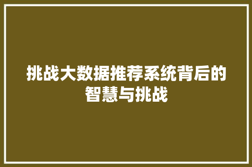 挑战大数据推荐系统背后的智慧与挑战 WordPress教程