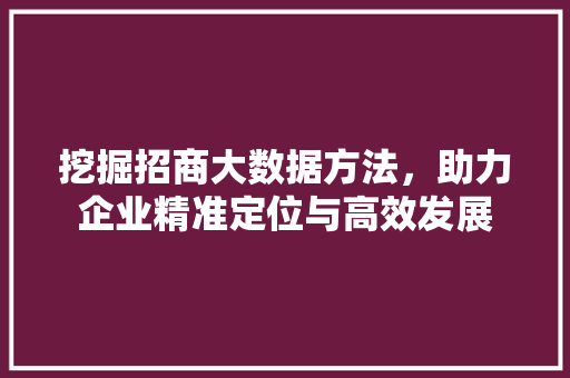 挖掘招商大数据方法，助力企业精准定位与高效发展 友链在线