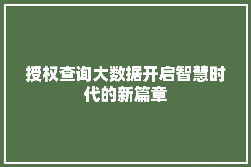 授权查询大数据开启智慧时代的新篇章 WordPress教程