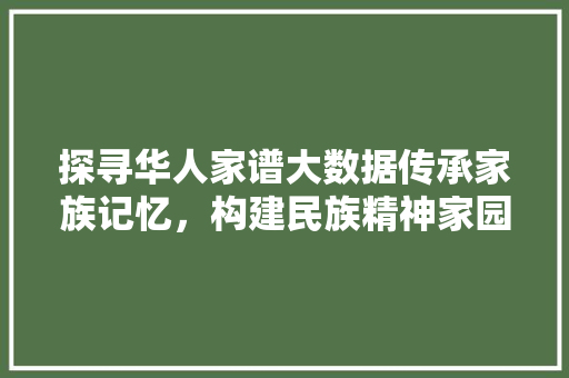 探寻华人家谱大数据传承家族记忆，构建民族精神家园