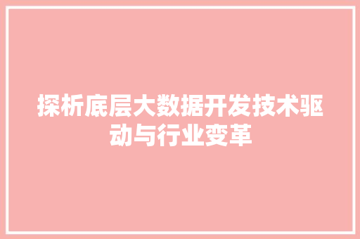 探析底层大数据开发技术驱动与行业变革 WordPress教程