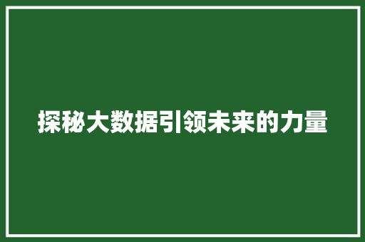 探秘大数据引领未来的力量