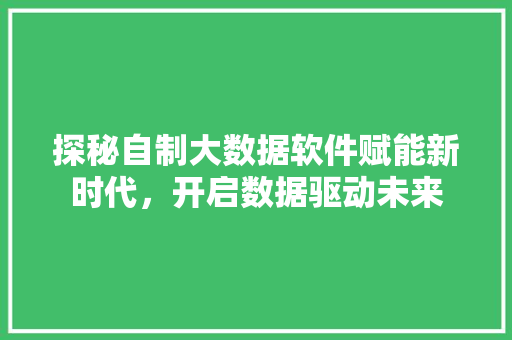 探秘自制大数据软件赋能新时代，开启数据驱动未来