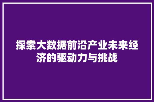 探索大数据前沿产业未来经济的驱动力与挑战 友链在线