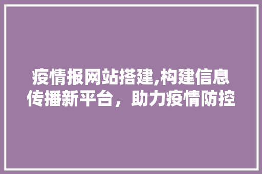 疫情报网站搭建,构建信息传播新平台，助力疫情防控 疫情报网站搭建,构建信息传播新平台，助力疫情防控 SEO教程