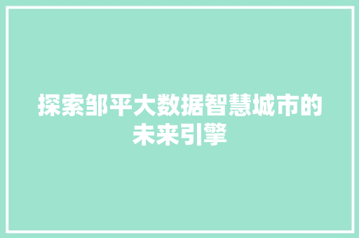 探索邹平大数据智慧城市的未来引擎