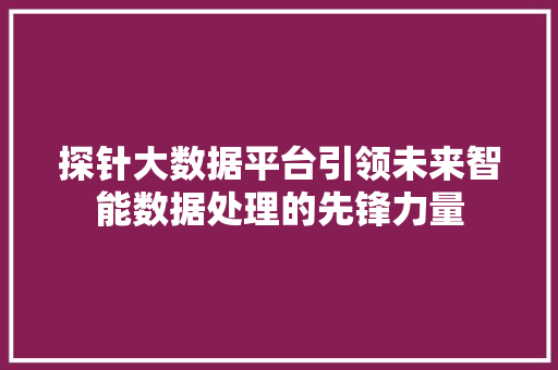 探针大数据平台引领未来智能数据处理的先锋力量