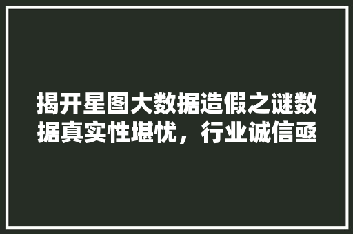揭开星图大数据造假之谜数据真实性堪忧，行业诚信亟待重建 服务器/数据库