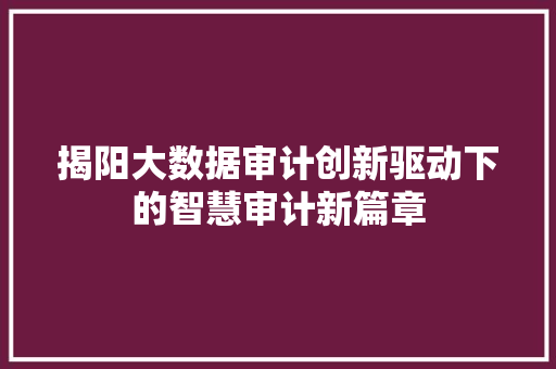 揭阳大数据审计创新驱动下的智慧审计新篇章