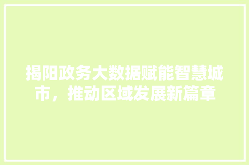 揭阳政务大数据赋能智慧城市，推动区域发展新篇章