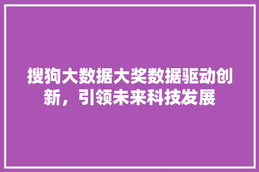 搜狗大数据大奖数据驱动创新，引领未来科技发展
