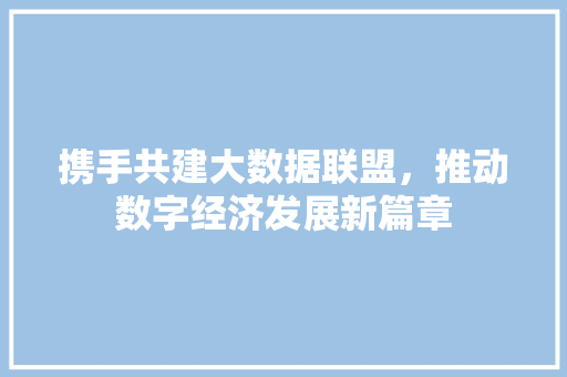 携手共建大数据联盟，推动数字经济发展新篇章