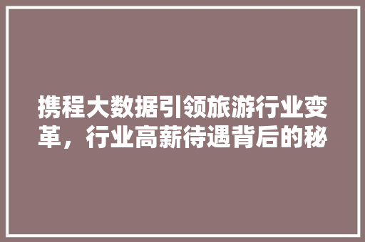 携程大数据引领旅游行业变革，行业高薪待遇背后的秘密