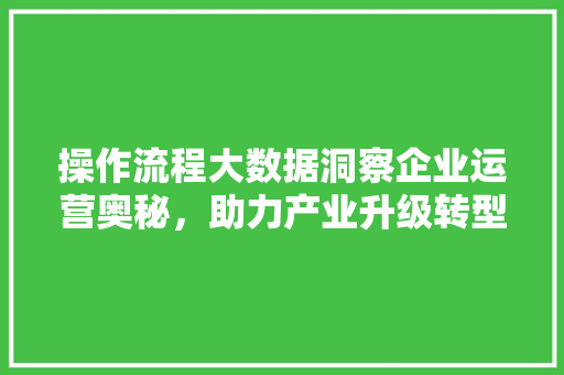 操作流程大数据洞察企业运营奥秘，助力产业升级转型