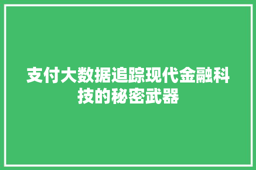 支付大数据追踪现代金融科技的秘密武器