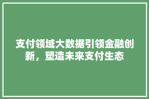 支付领域大数据引领金融创新，塑造未来支付生态