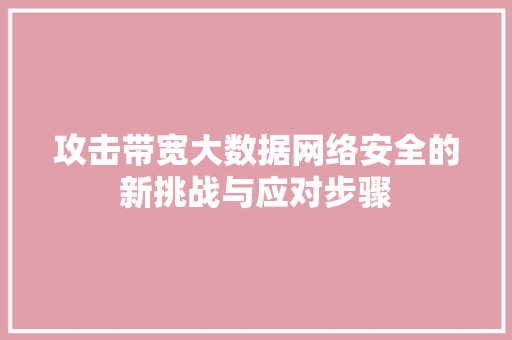 攻击带宽大数据网络安全的新挑战与应对步骤
