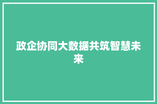 政企协同大数据共筑智慧未来