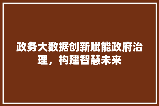 政务大数据创新赋能政府治理，构建智慧未来