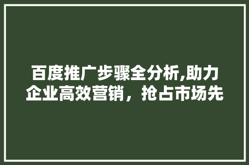 百度推广步骤全分析,助力企业高效营销，抢占市场先机