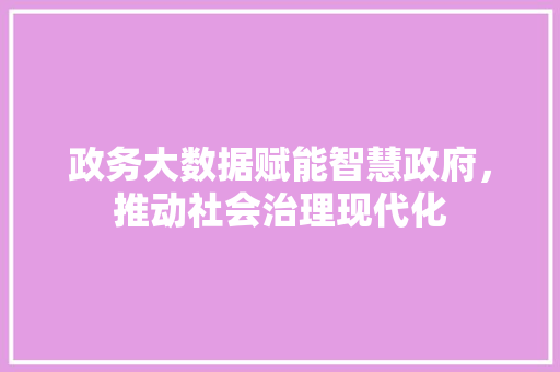 政务大数据赋能智慧政府，推动社会治理现代化 SEO教程