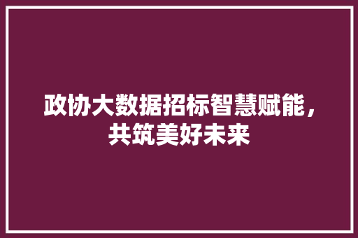 政协大数据招标智慧赋能，共筑美好未来