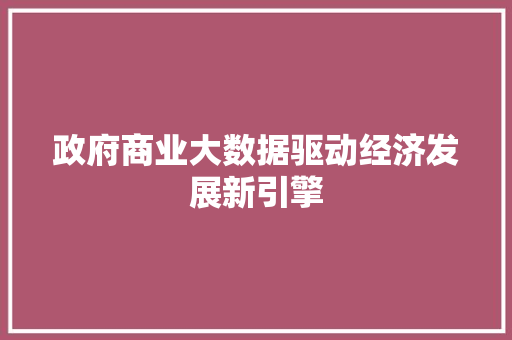 政府商业大数据驱动经济发展新引擎