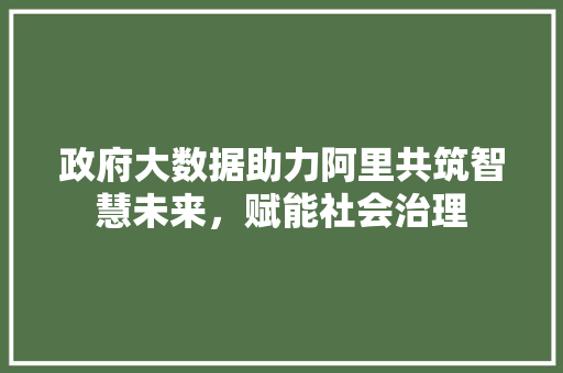 政府大数据助力阿里共筑智慧未来，赋能社会治理