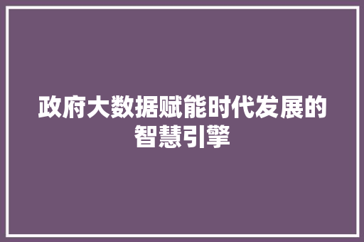 政府大数据赋能时代发展的智慧引擎