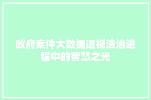 政府案件大数据透视法治进程中的智慧之光