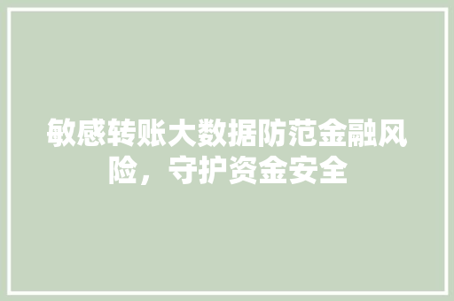 敏感转账大数据防范金融风险，守护资金安全