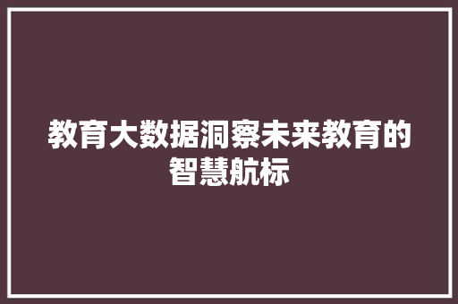 教育大数据洞察未来教育的智慧航标