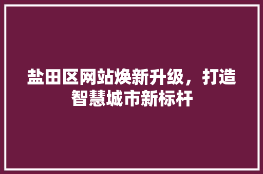 盐田区网站焕新升级，打造智慧城市新标杆