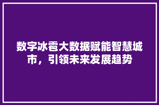 数字冰雹大数据赋能智慧城市，引领未来发展趋势