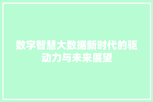 数字智慧大数据新时代的驱动力与未来展望