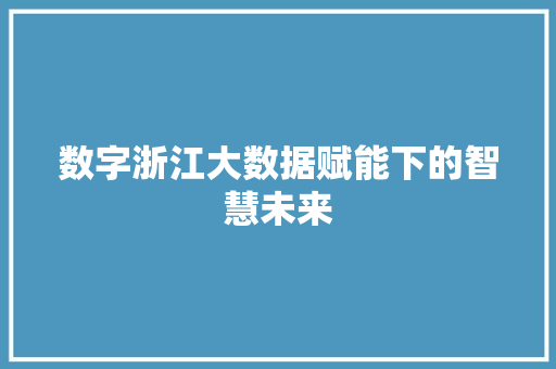 数字浙江大数据赋能下的智慧未来