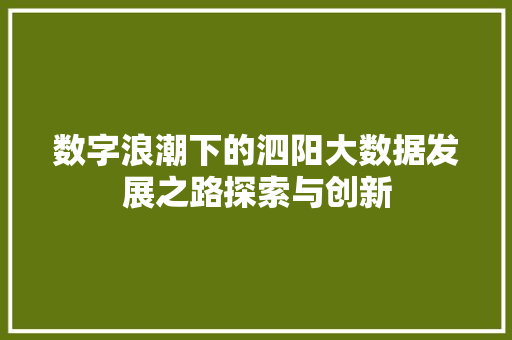数字浪潮下的泗阳大数据发展之路探索与创新