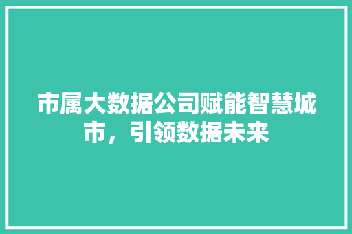 市属大数据公司赋能智慧城市，引领数据未来