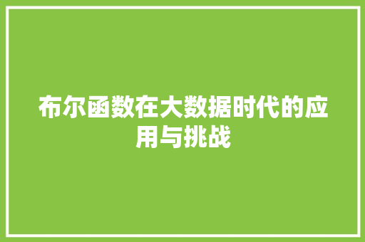 布尔函数在大数据时代的应用与挑战